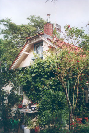 Blick zum Hannah-Höch-Haus (Giebelseite hinter Rosen)