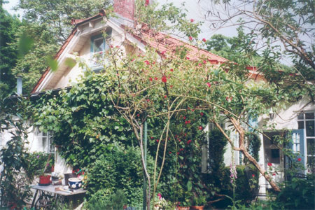 Blick zum Hannah-Höch-Haus (Giebelseite und Wintergarten hinter Rosen)